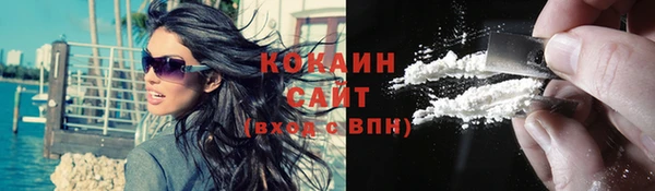 кокс Алексин