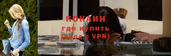 кокс Алексин