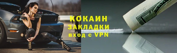 кокс Алексин