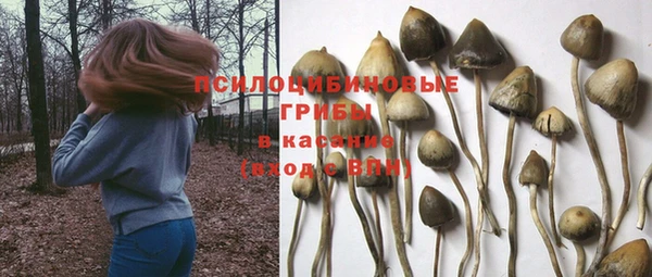 круглые Алексеевка