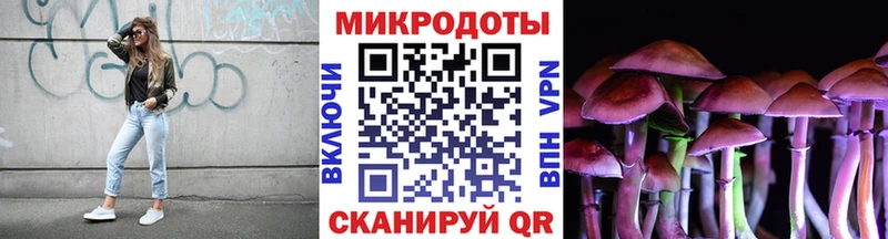 Псилоцибиновые грибы Psilocybe  Луга 
